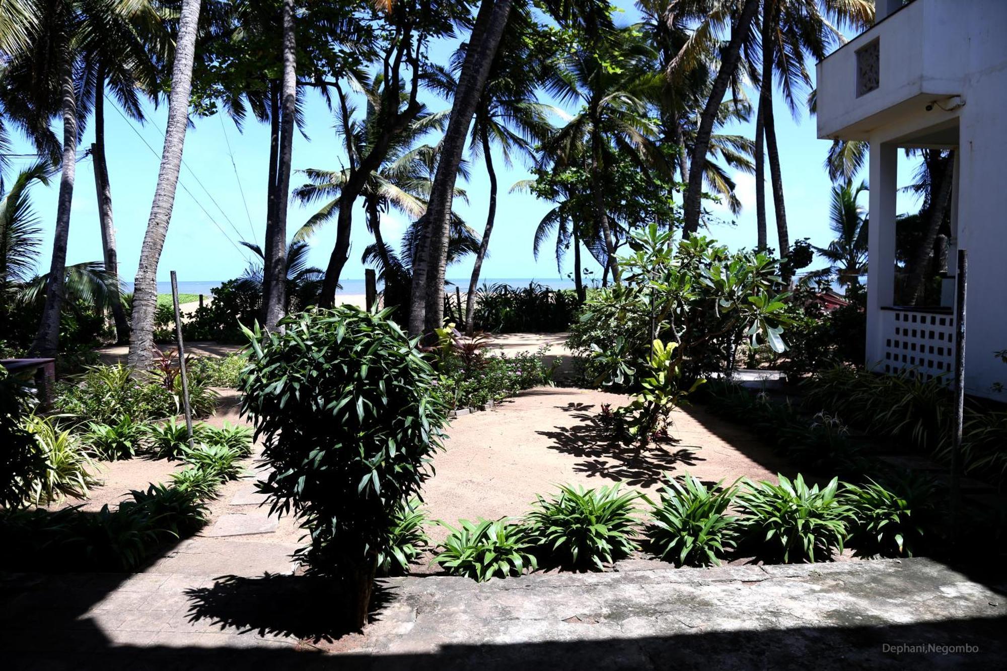 Dephani Beach Hotel Negombo Kültér fotó