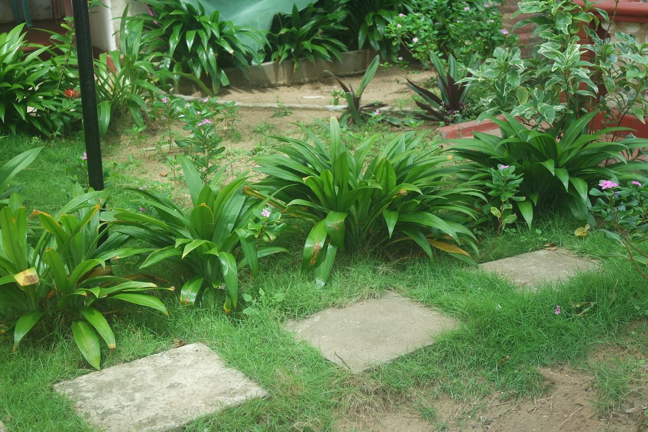 Dephani Beach Hotel Negombo Kültér fotó